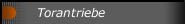 Torantriebe